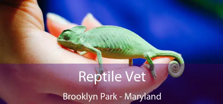 Reptile Vet Brooklyn Park - Maryland