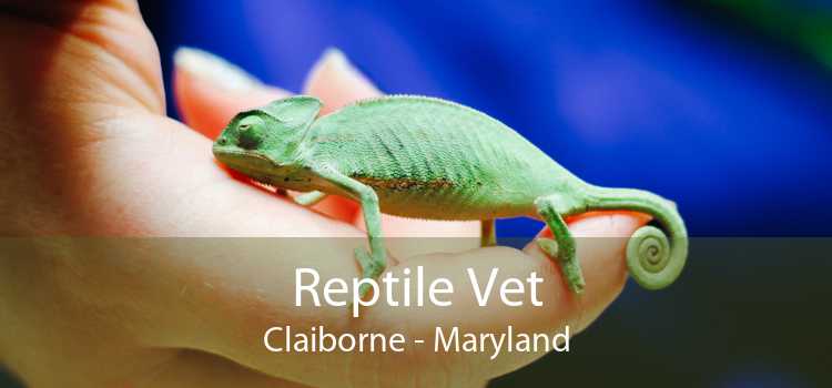 Reptile Vet Claiborne - Maryland