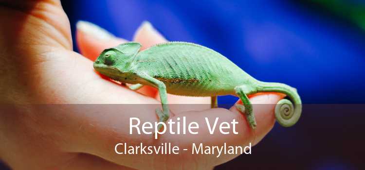 Reptile Vet Clarksville - Maryland