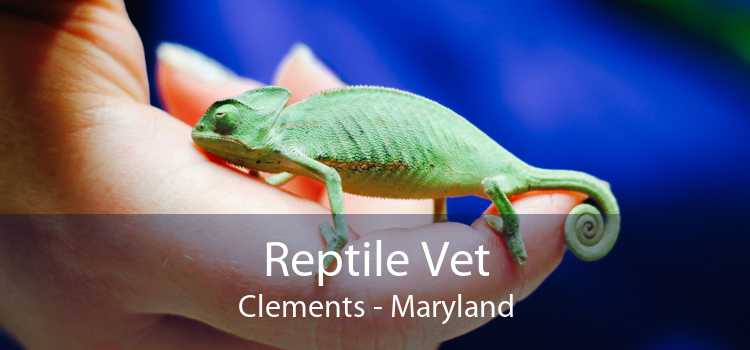 Reptile Vet Clements - Maryland