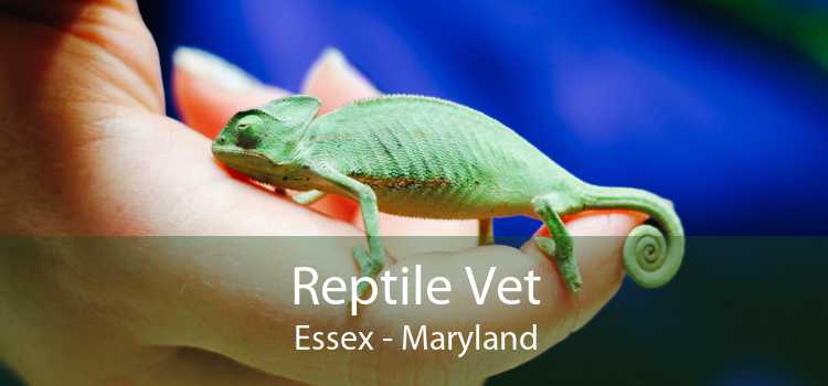Reptile Vet Essex - Maryland
