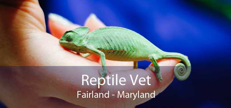Reptile Vet Fairland - Maryland