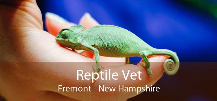 Reptile Vet Fremont - New Hampshire