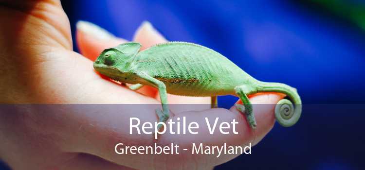 Reptile Vet Greenbelt - Maryland