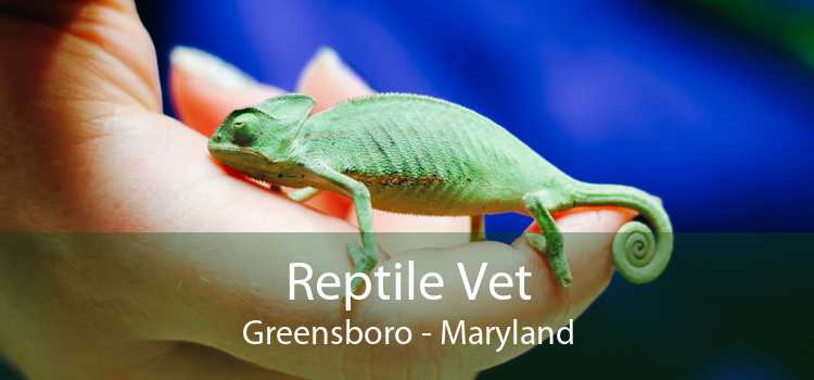 Reptile Vet Greensboro - Maryland
