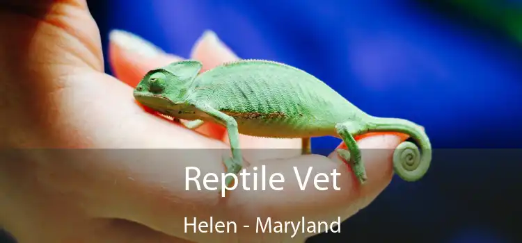 Reptile Vet Helen - Maryland