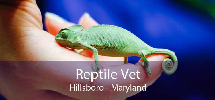 Reptile Vet Hillsboro - Maryland