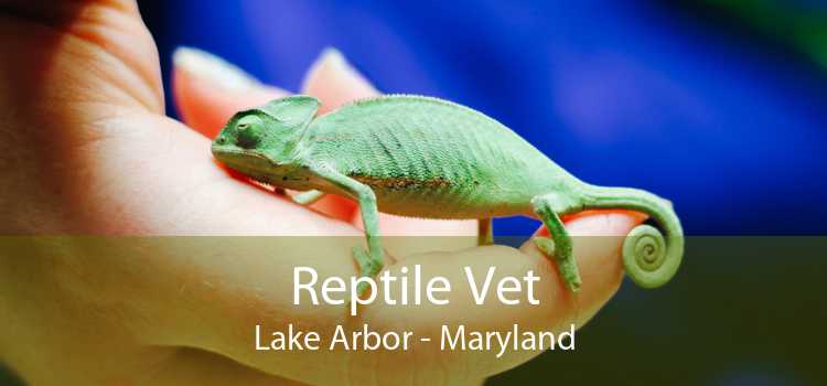 Reptile Vet Lake Arbor - Maryland