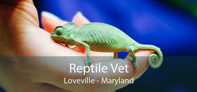 Reptile Vet Loveville - Maryland