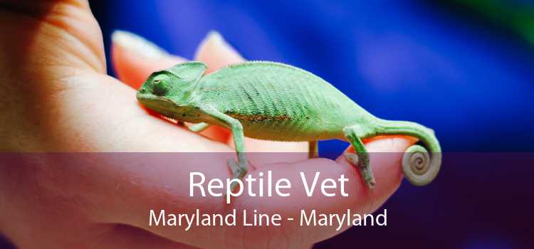 Reptile Vet Maryland Line - Maryland