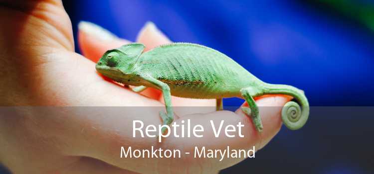 Reptile Vet Monkton - Maryland