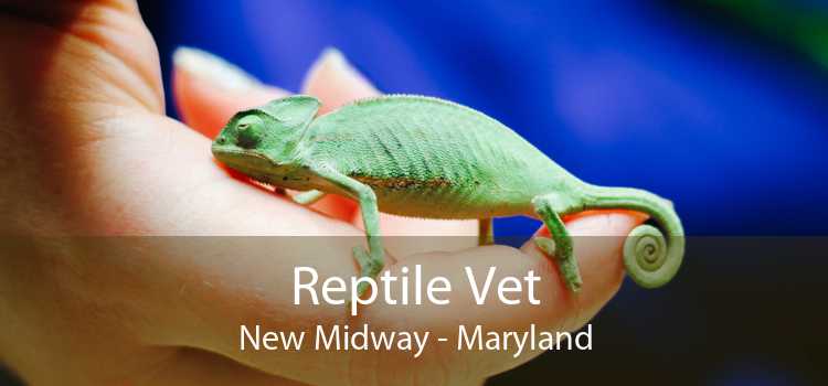 Reptile Vet New Midway - Maryland