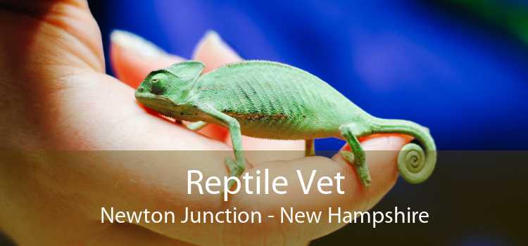 Reptile Vet Newton Junction - New Hampshire