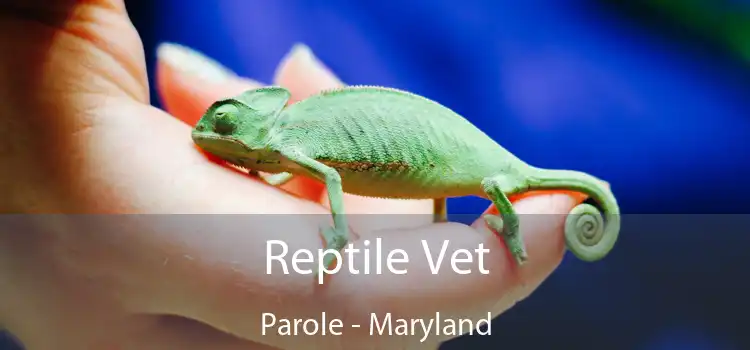 Reptile Vet Parole - Maryland