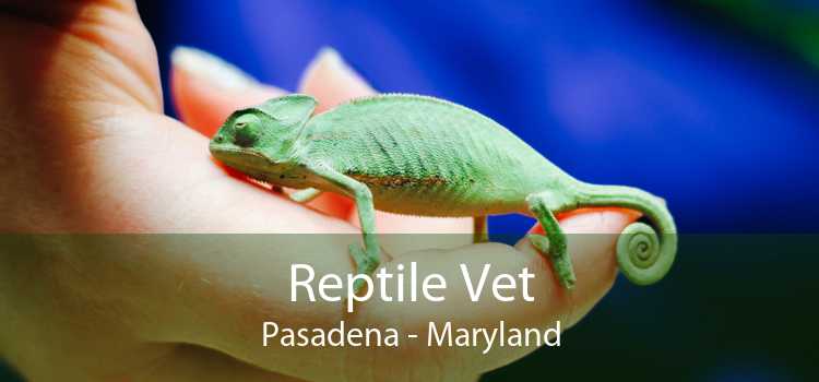 Reptile Vet Pasadena - Maryland
