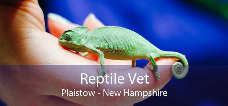 Reptile Vet Plaistow - New Hampshire