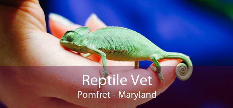 Reptile Vet Pomfret - Maryland