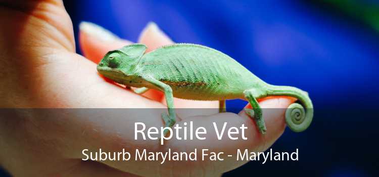 Reptile Vet Suburb Maryland Fac - Maryland
