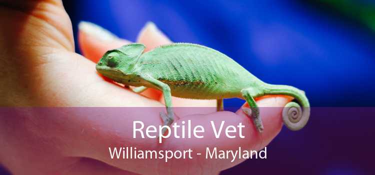 Reptile Vet Williamsport - Maryland