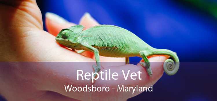 Reptile Vet Woodsboro - Maryland