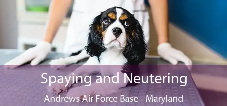 Spaying and Neutering Andrews Air Force Base - Maryland