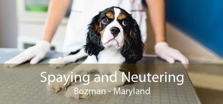 Spaying and Neutering Bozman - Maryland