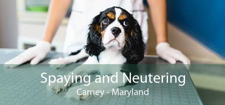 Spaying and Neutering Carney - Maryland