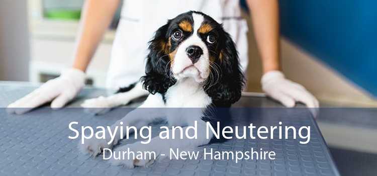 Spaying and Neutering Durham - New Hampshire