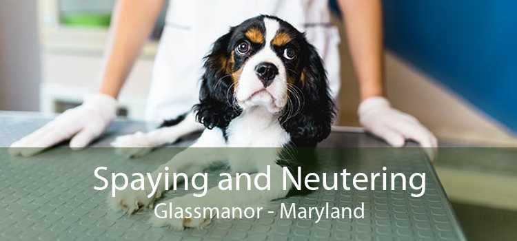 Spaying and Neutering Glassmanor - Maryland
