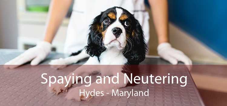 Spaying and Neutering Hydes - Maryland