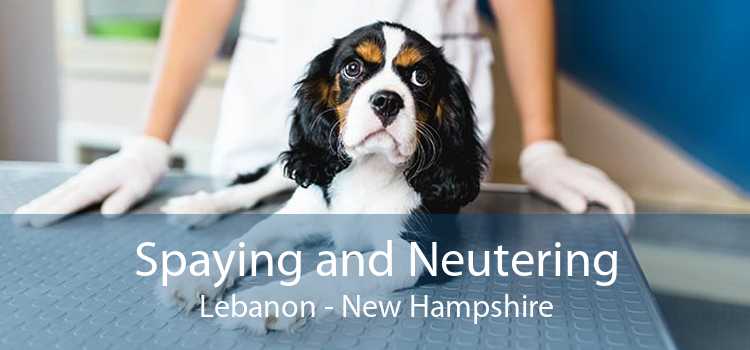 Spaying and Neutering Lebanon - New Hampshire