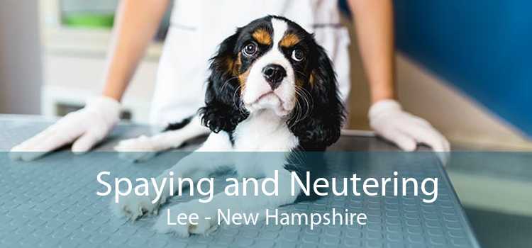 Spaying and Neutering Lee - New Hampshire
