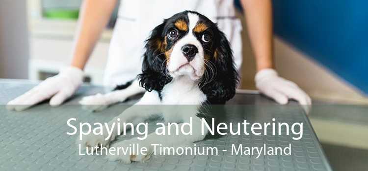 Spaying and Neutering Lutherville Timonium - Maryland