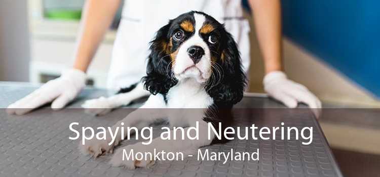 Spaying and Neutering Monkton - Maryland