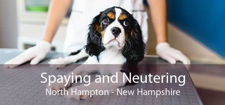 Spaying and Neutering North Hampton - New Hampshire