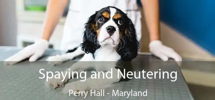 Spaying and Neutering Perry Hall - Maryland