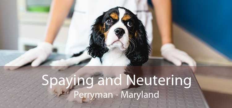 Spaying and Neutering Perryman - Maryland