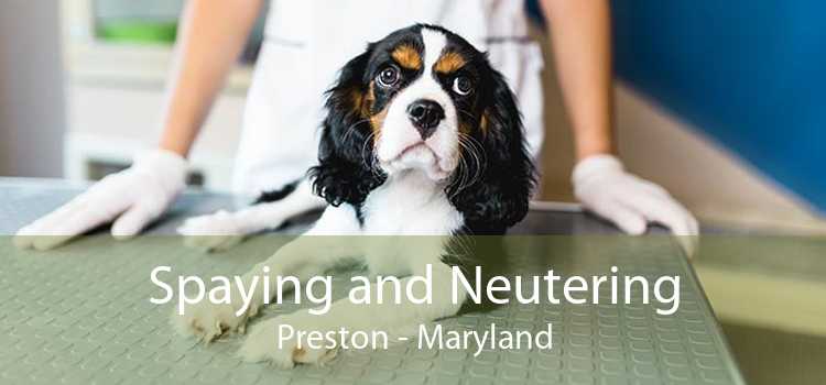 Spaying and Neutering Preston - Maryland