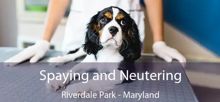Spaying and Neutering Riverdale Park - Maryland
