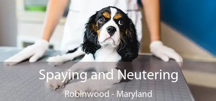 Spaying and Neutering Robinwood - Maryland