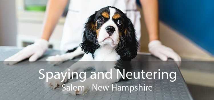 Spaying and Neutering Salem - New Hampshire
