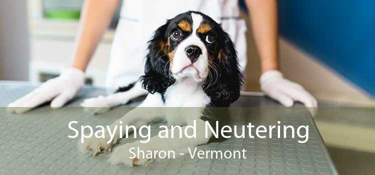 Spaying and Neutering Sharon - Vermont