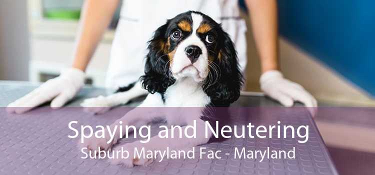 Spaying and Neutering Suburb Maryland Fac - Maryland
