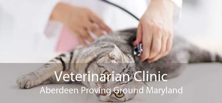 Veterinarian Clinic Aberdeen Proving Ground Maryland