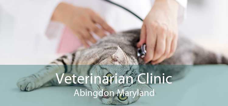 Veterinarian Clinic Abingdon Maryland