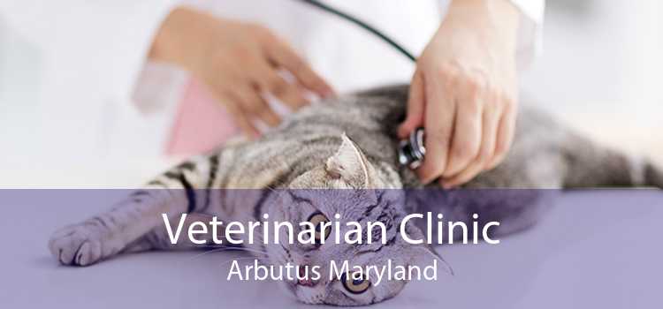 Veterinarian Clinic Arbutus Maryland