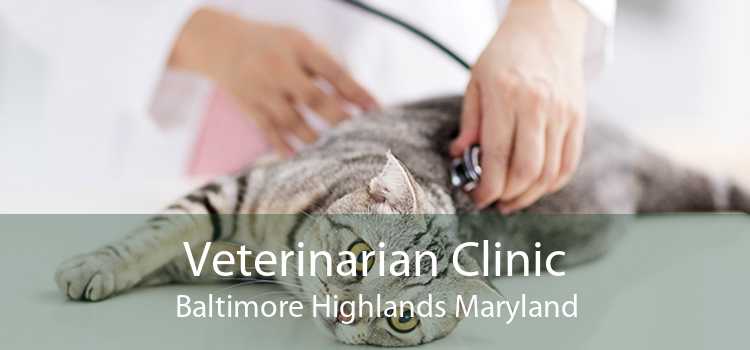 Veterinarian Clinic Baltimore Highlands Maryland