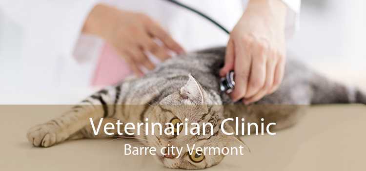 Veterinarian Clinic Barre city Vermont