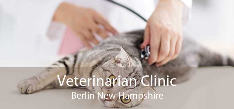 Veterinarian Clinic Berlin New Hampshire