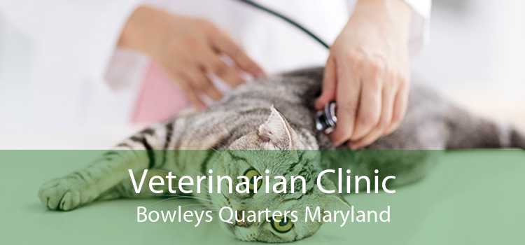 Veterinarian Clinic Bowleys Quarters Maryland